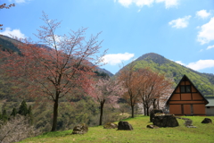 春の野山
