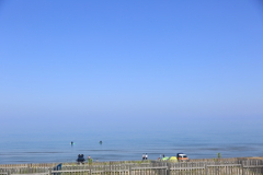 海