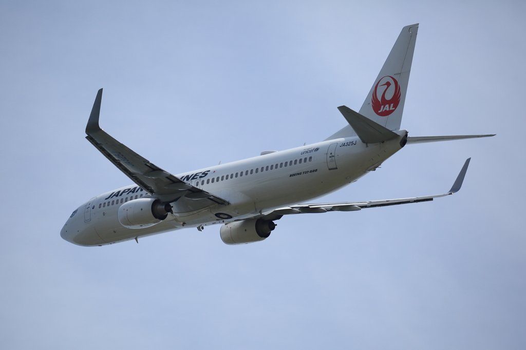 737-800