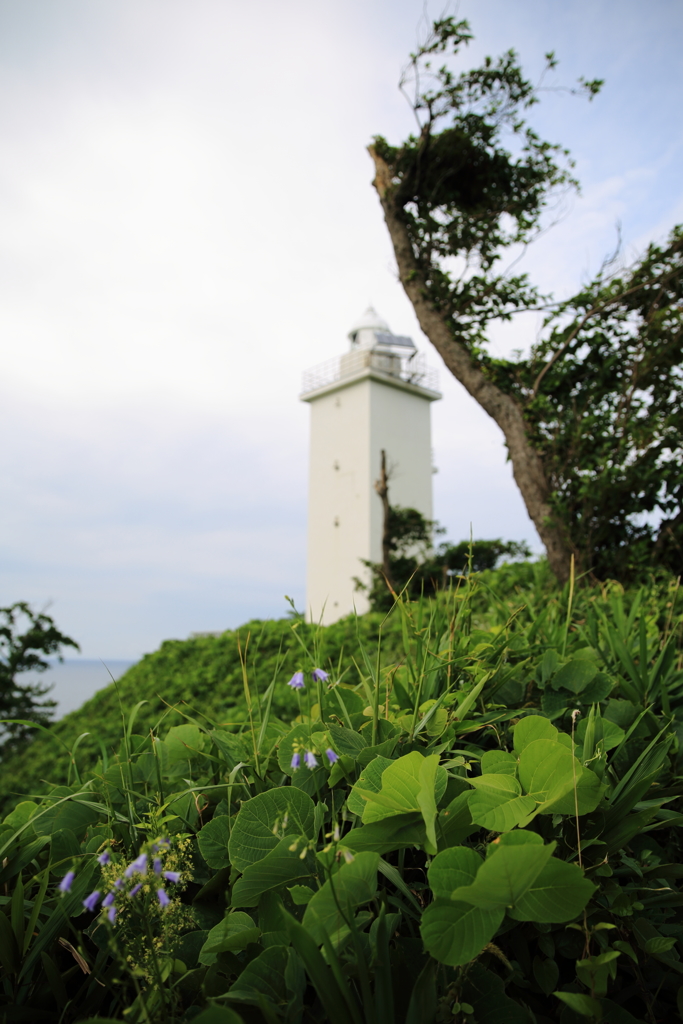 加佐岬灯台