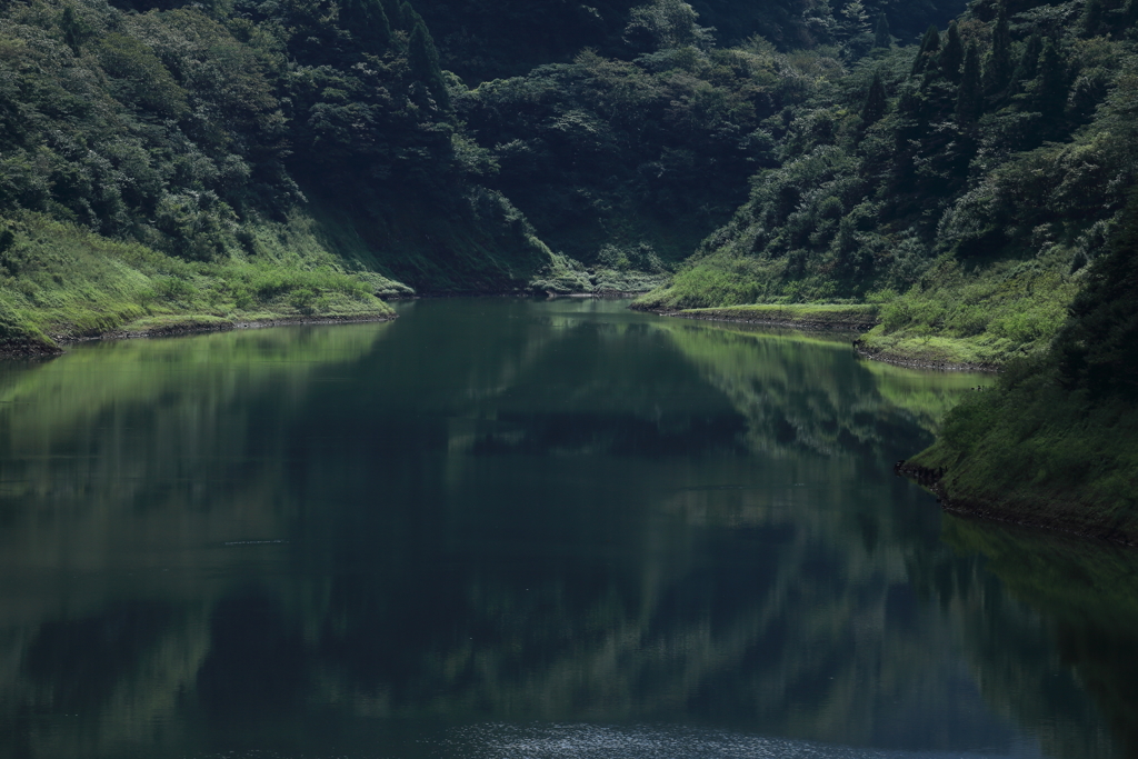 緑の世界