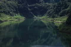 緑の世界