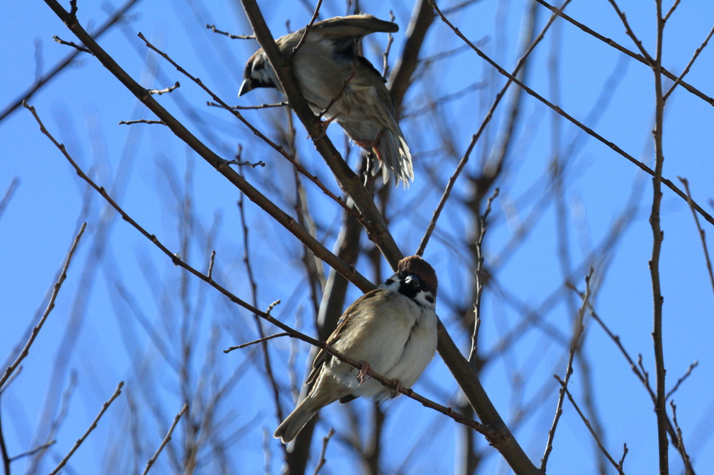 ひと時の晴れ間