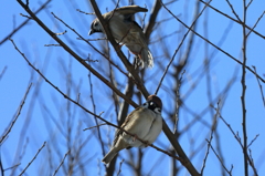ひと時の晴れ間