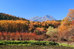 妙高山