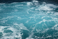 冬の海