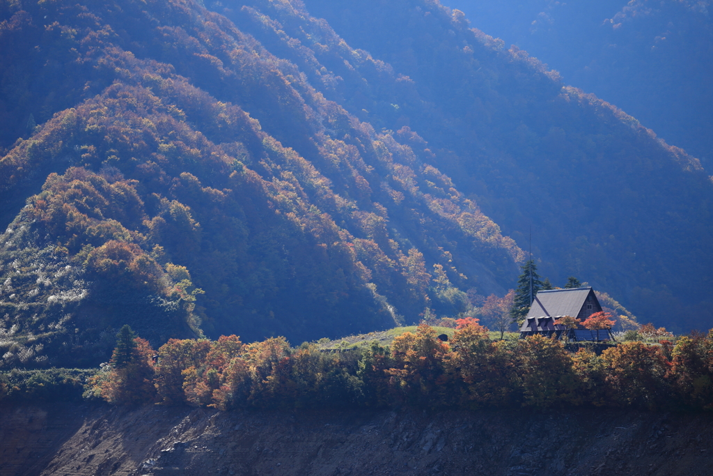 ダム湖の紅葉