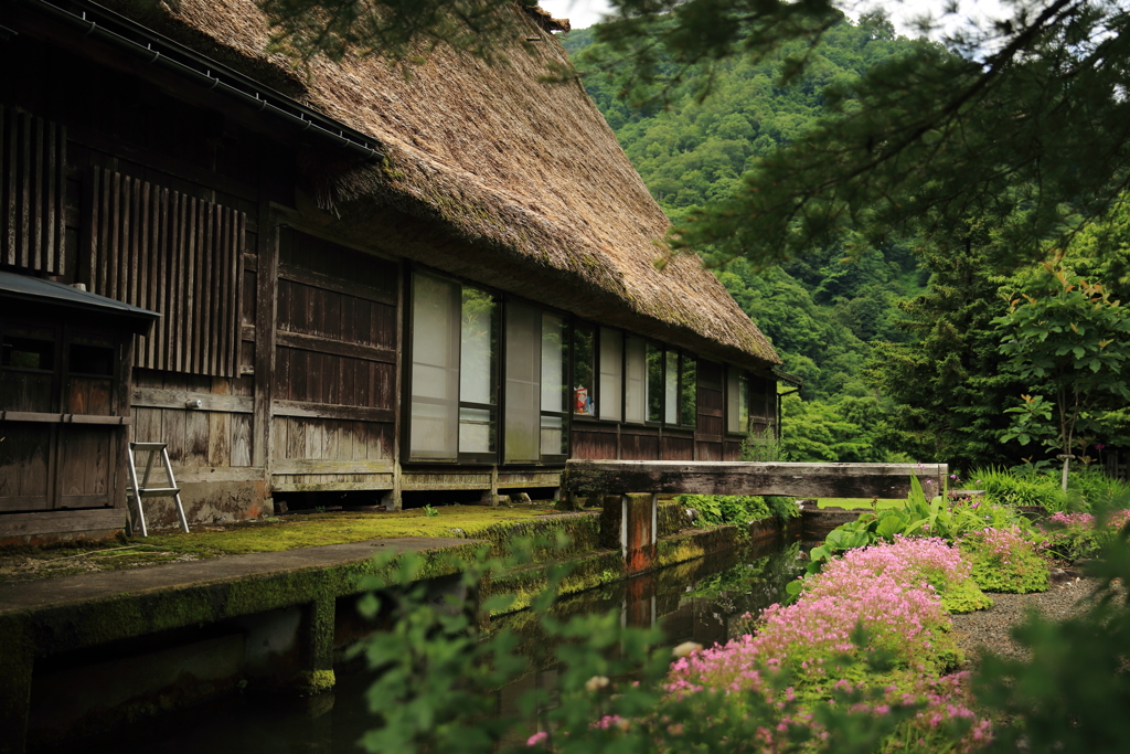 五箇山合掌造り集落　菅沼