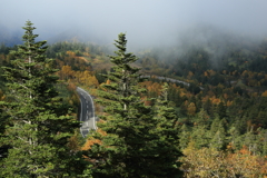 志賀高原　横手山