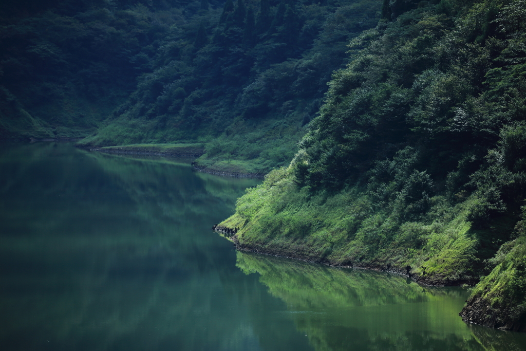緑の世界
