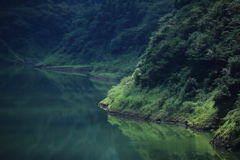 緑の世界
