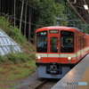 紅いヨイイナ