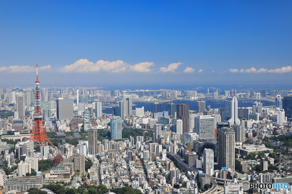TOKYO BAY