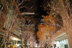 illumination in marunouchi 