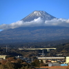 新春