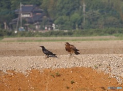 IMG_9141呉越同舟