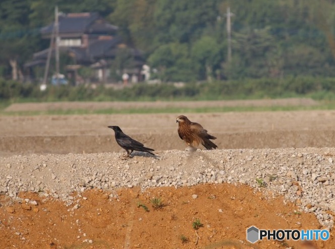 IMG_9141呉越同舟