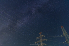 夜空に生える