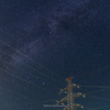 夜空に生える