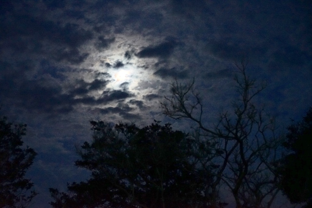 月夜