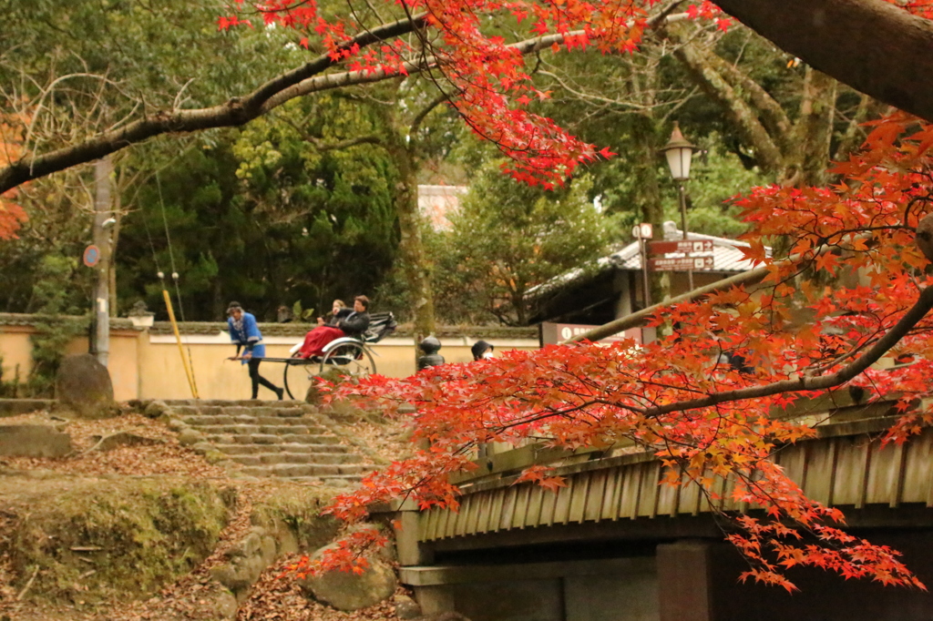 IMG_0450　奈良の紅葉