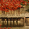 IMG_0528　奈良の紅葉