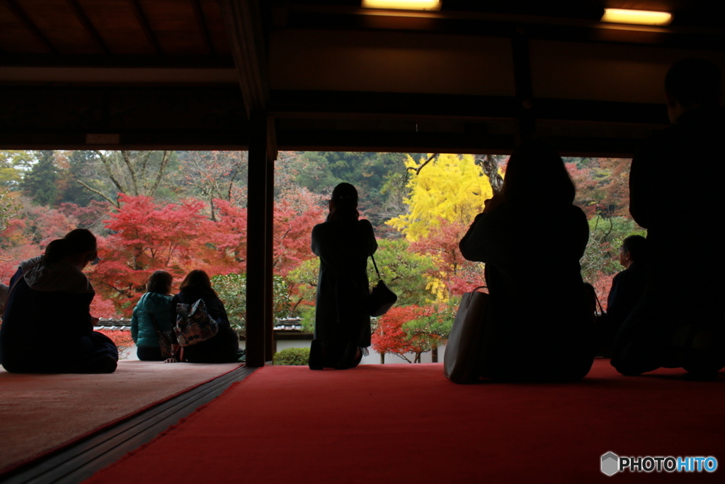紅葉を楽しむ