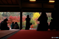 紅葉を楽しむ