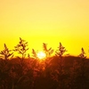 秋の夕日