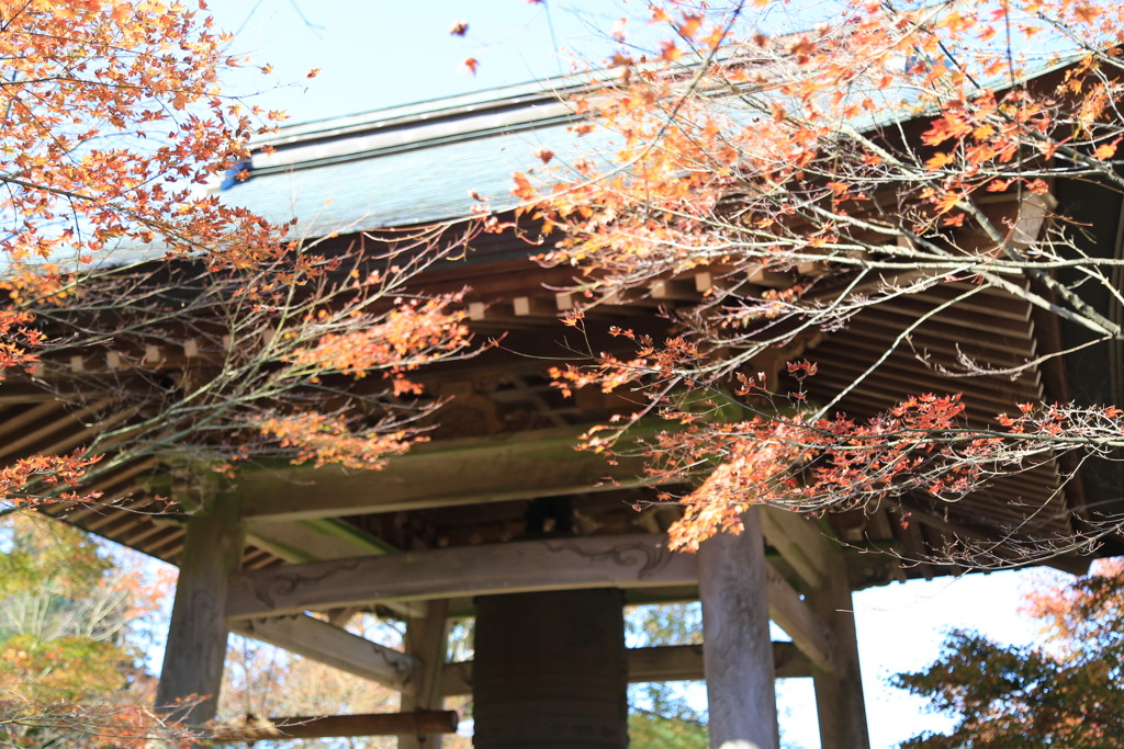 呑山観音寺（福岡県篠栗町）紅葉