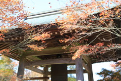 呑山観音寺(福岡県篠栗町)紅葉