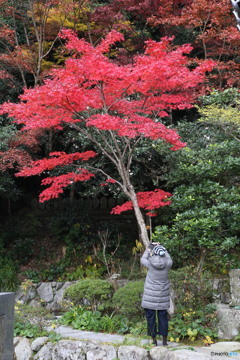 カメラ女子(福岡県宗像市鎮国寺にて)
