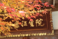 呑山観音寺(福岡県篠栗町)紅葉
