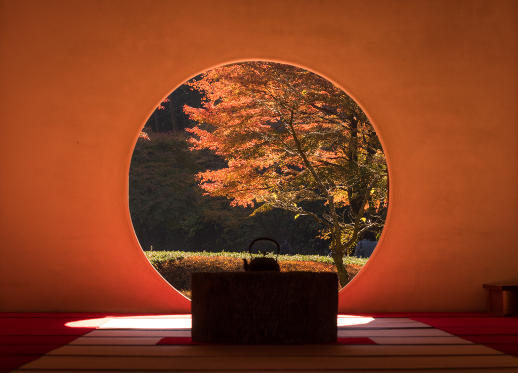 秋の明月院