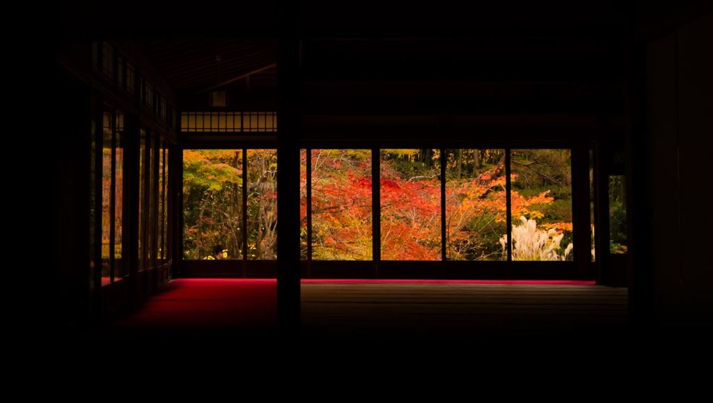 晩秋の天授庵