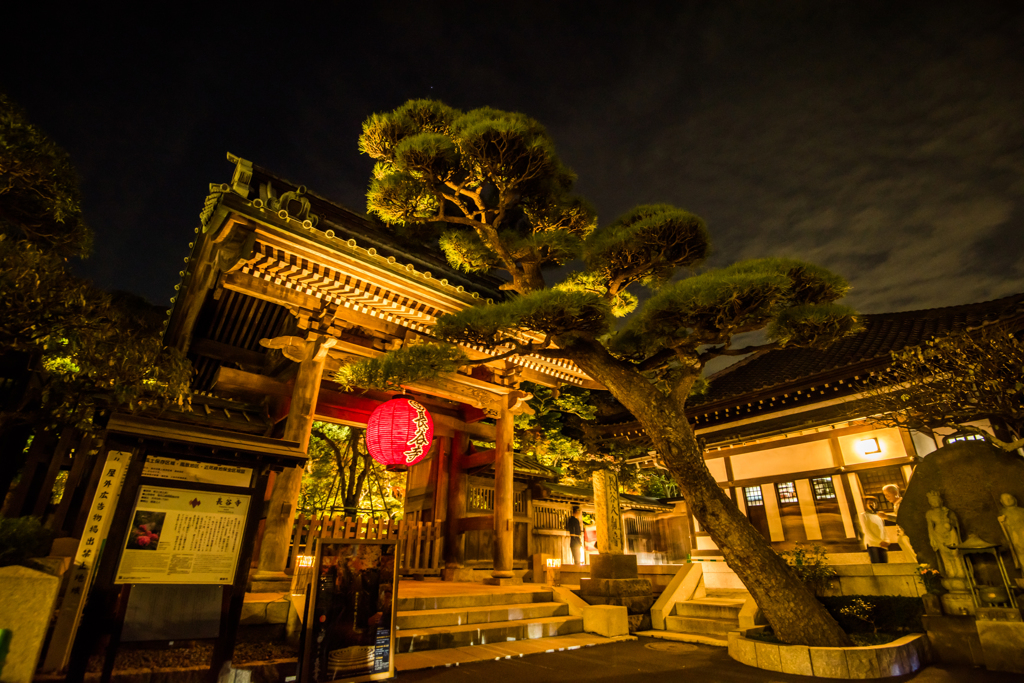 夜の長谷寺