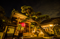 夜の長谷寺