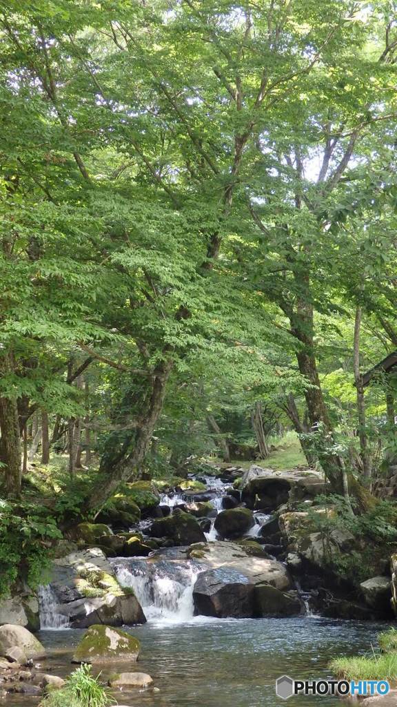 「 夏 .涼. 緑」