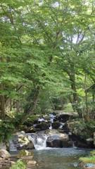 「 夏 .涼. 緑」