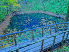 青池