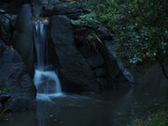 滝