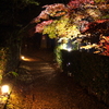 道