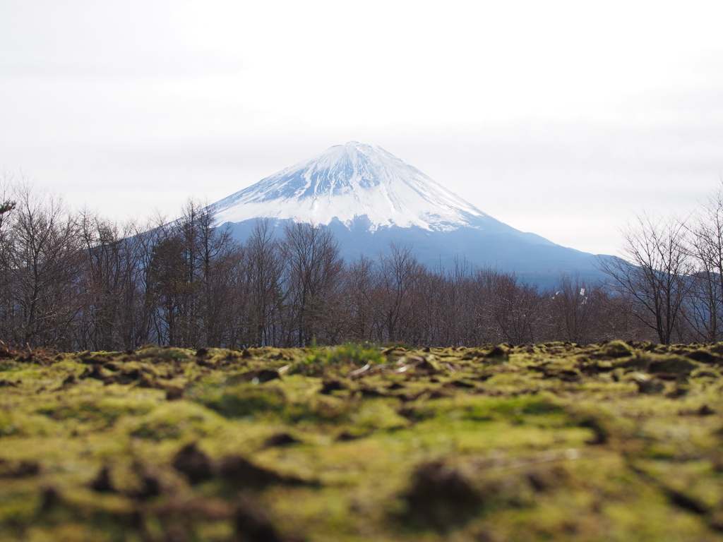 富士山