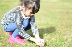 ばったさんみーつけた