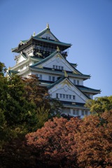 大阪城と紅葉