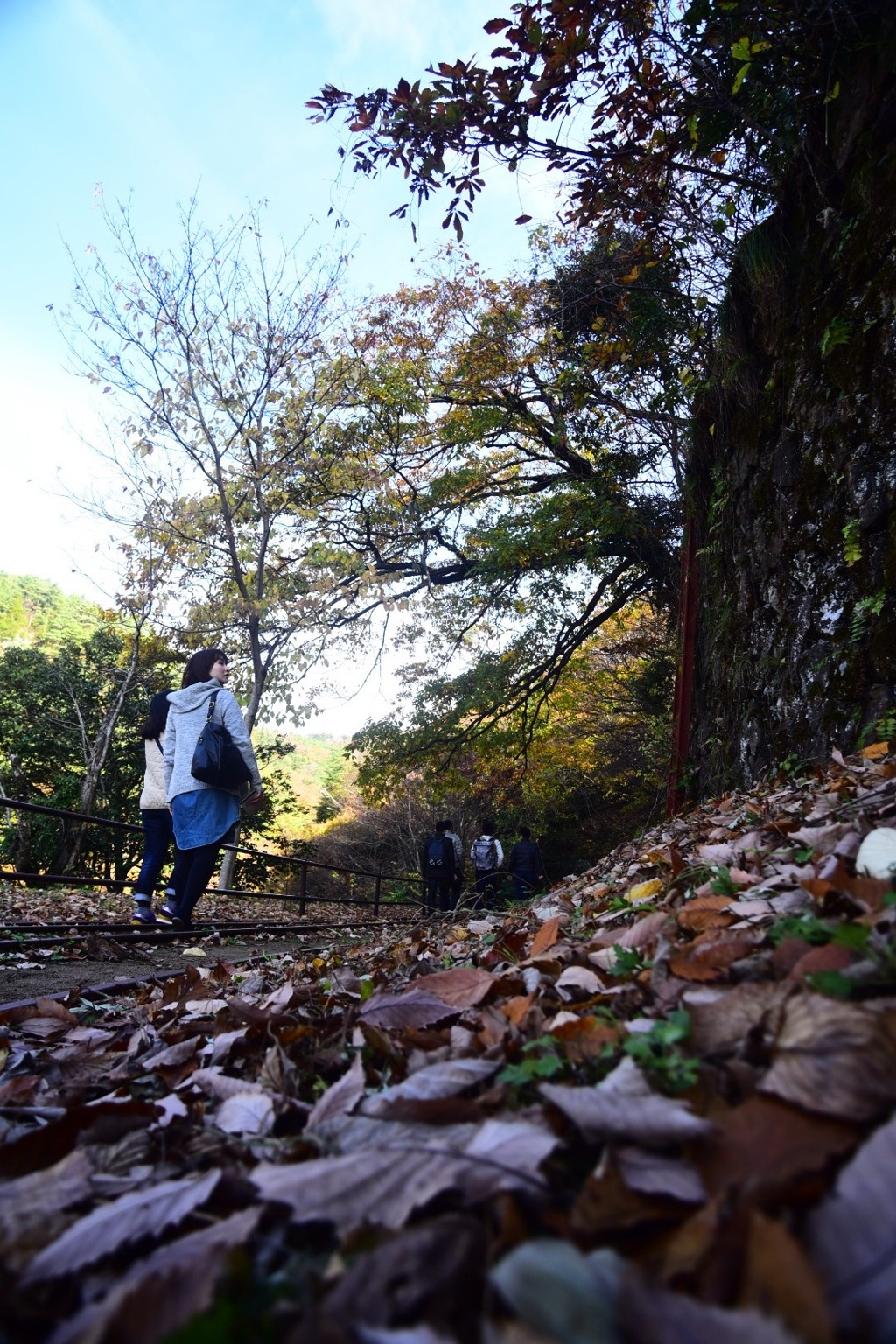 落ち葉の散歩道