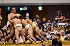 がんばれちびっこ、負けるな豊ノ島