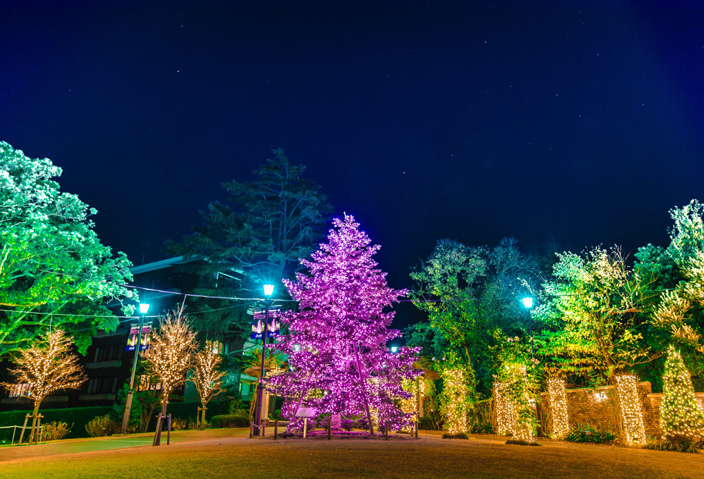Christmas color