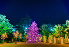Christmas color
