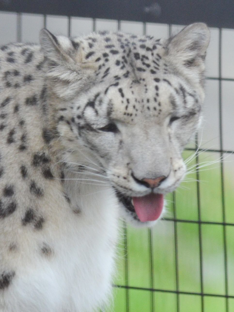 旭山動物園04